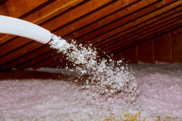 Best Eco-Friendly Insulation in , TN