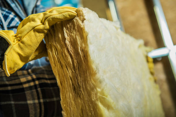 Best Insulation Maintenance and Repair in , TN